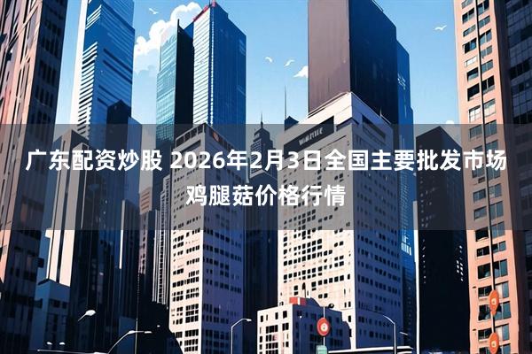 广东配资炒股 2026年2月3日全国主要批发市场鸡腿菇价格行情