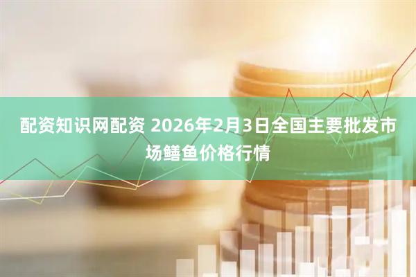 配资知识网配资 2026年2月3日全国主要批发市场鳝鱼价格行情