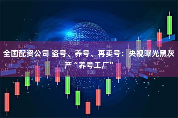 全国配资公司 盗号、养号、再卖号：央视曝光黑灰产“养号工厂”